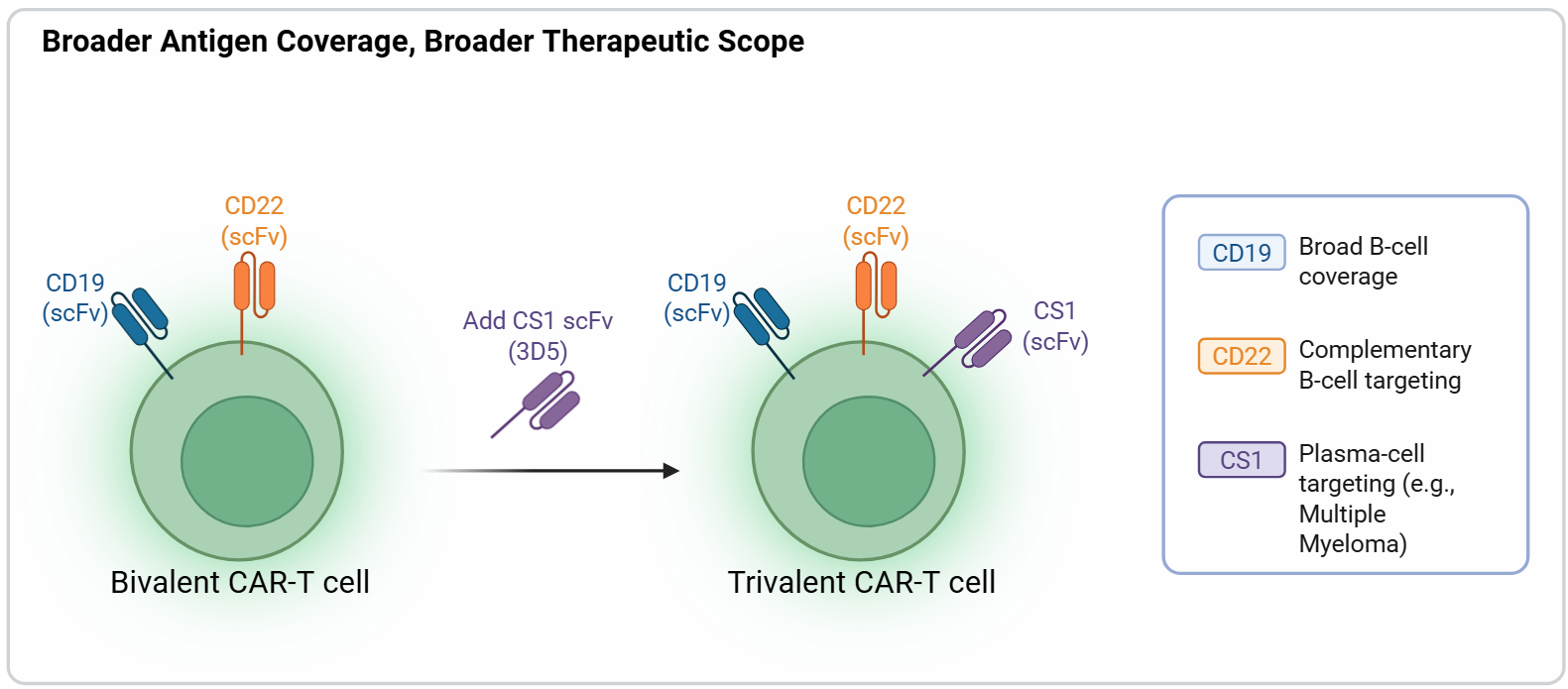 Broader Antigen Coverage, Broader Therapeutic Scope
